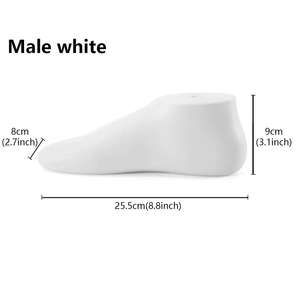 JELIMATE Foot Mannequin Display Model for Socks & Shoes | Male & Female