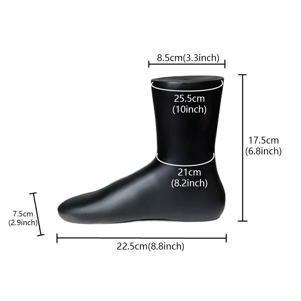 JELIMATE Foot Mannequin Display Model for Socks & Shoes | Male & Female