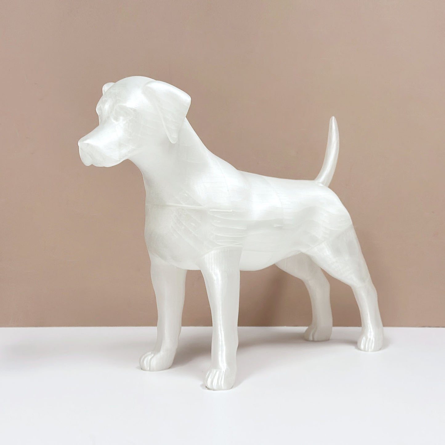 Premium Dog Mannequin Display - Magnetic Detachable Pet Clothing Model