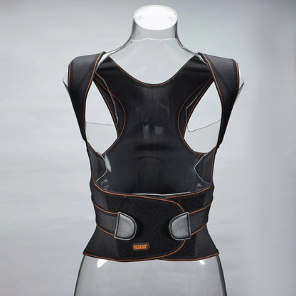 Transparent Female Half-Body Mannequin | 3D Photo Shoot Stand for Lingerie & Swimwear