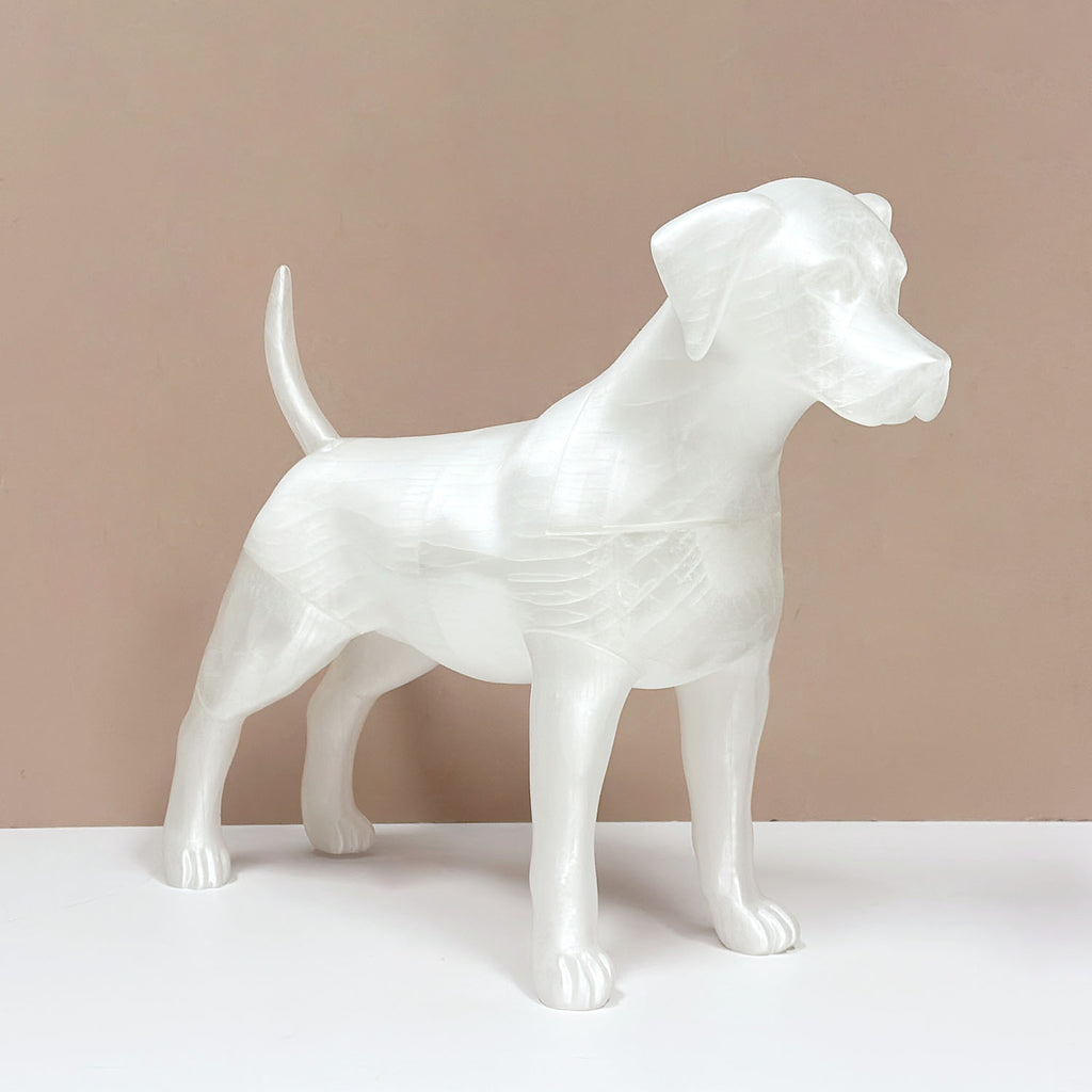 Premium Dog Mannequin Display - Magnetic Detachable Pet Clothing Model