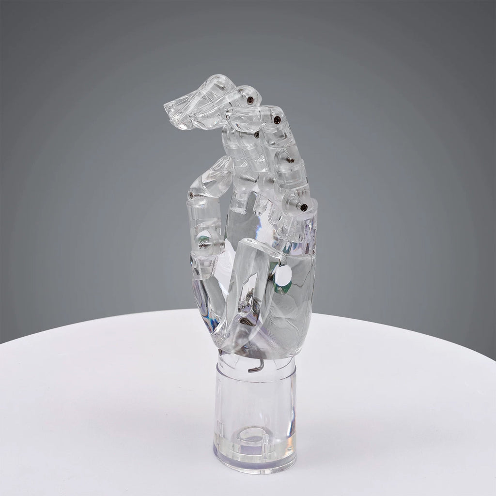 JELIMATE Clear Hand Mannequin Display Stand Articulated Joints Jewelry Ring Holder