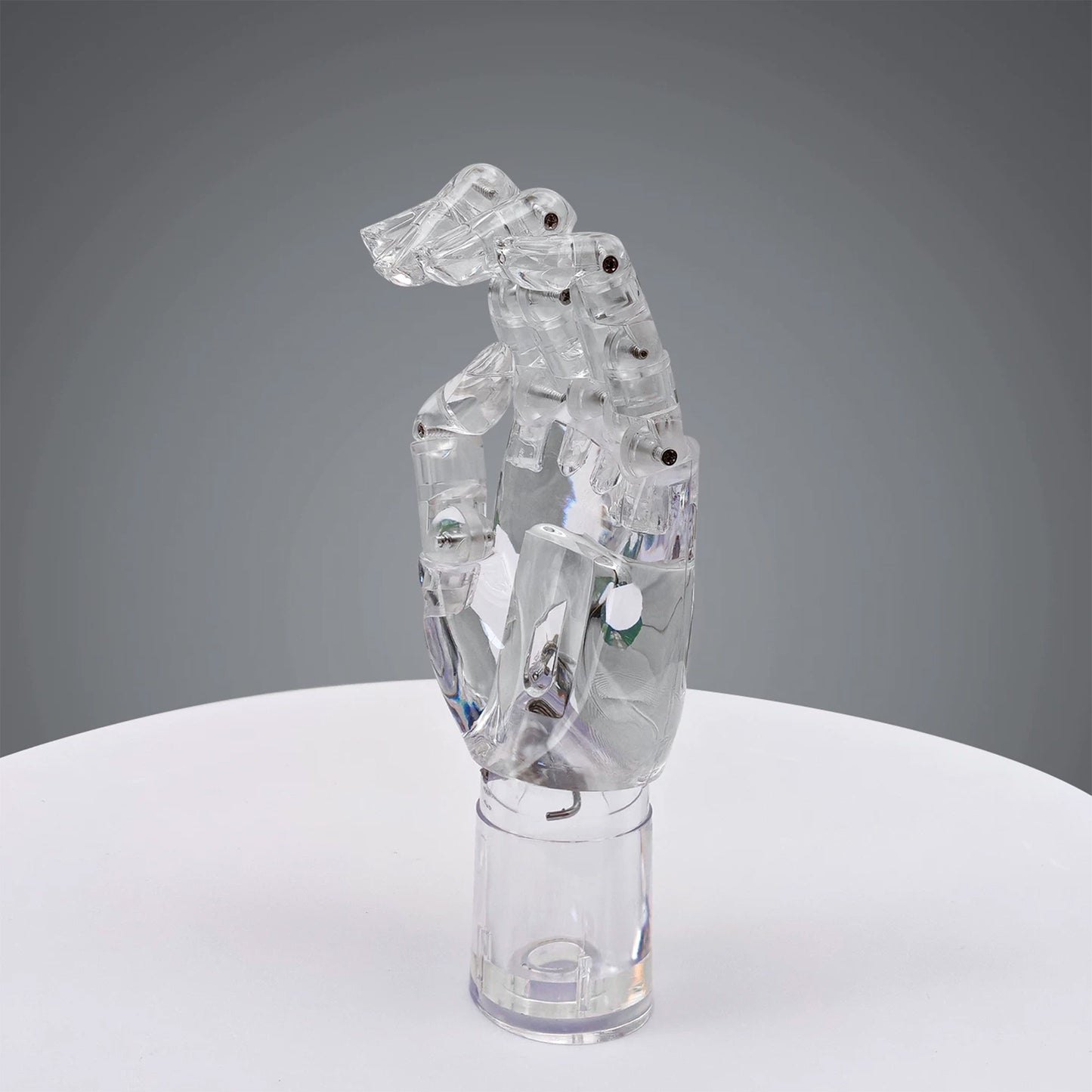 JELIMATE Clear Hand Mannequin Display Stand Articulated Joints Jewelry Ring Holder