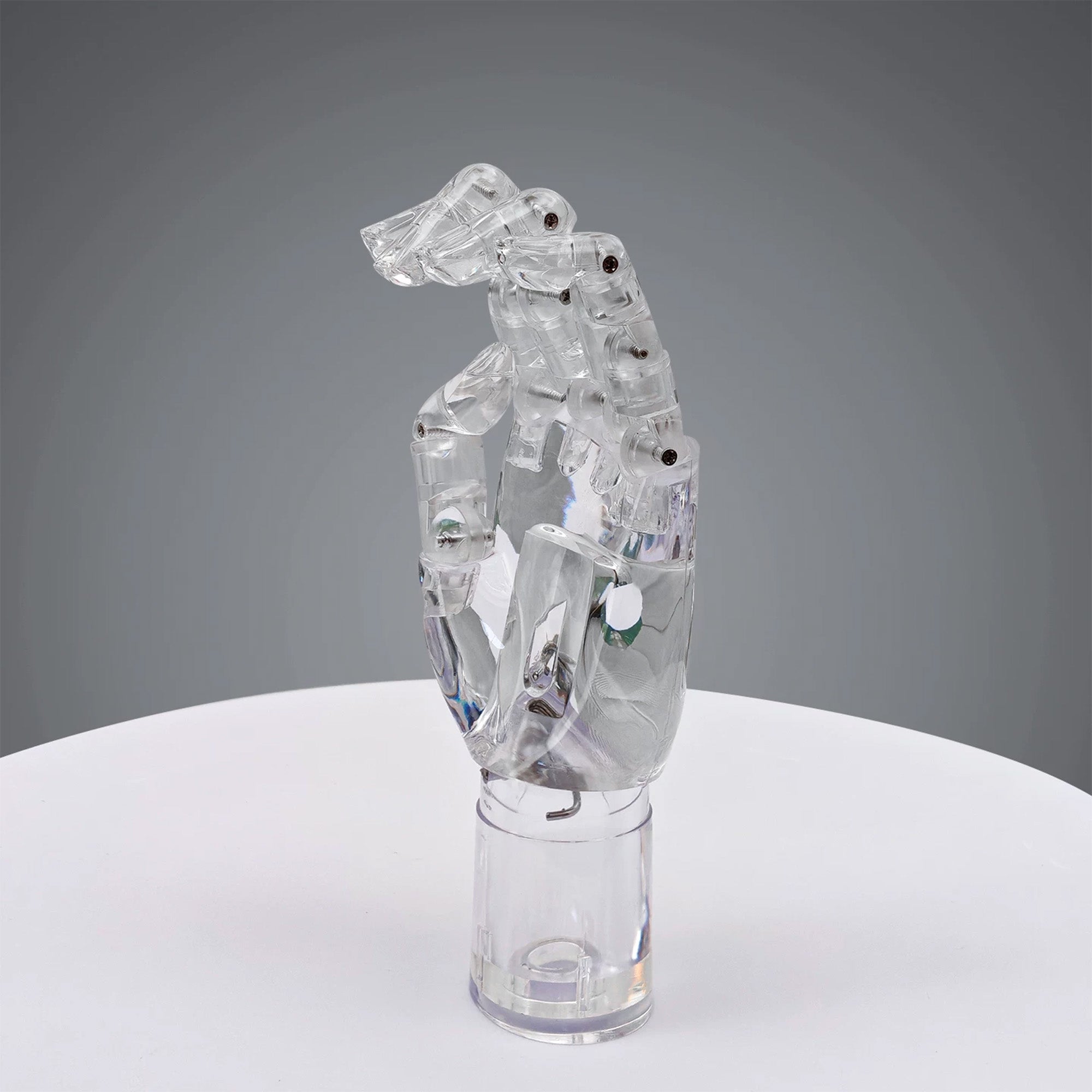 JELIMATE Clear Hand Mannequin Display Stand Articulated Joints Jewelry Ring Holder