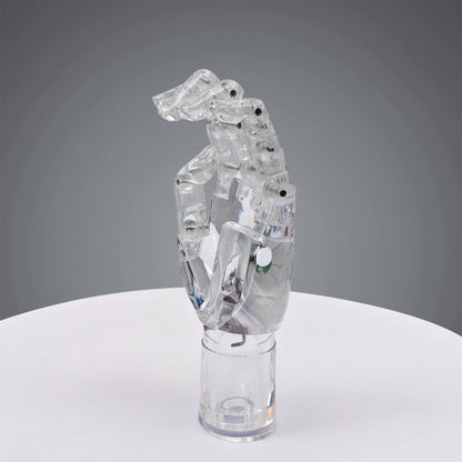 JELIMATE Clear Hand Mannequin Display Stand Articulated Joints Jewelry Ring Holder