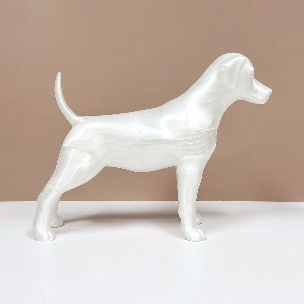 Premium Dog Mannequin Display - Magnetic Detachable Pet Clothing Model