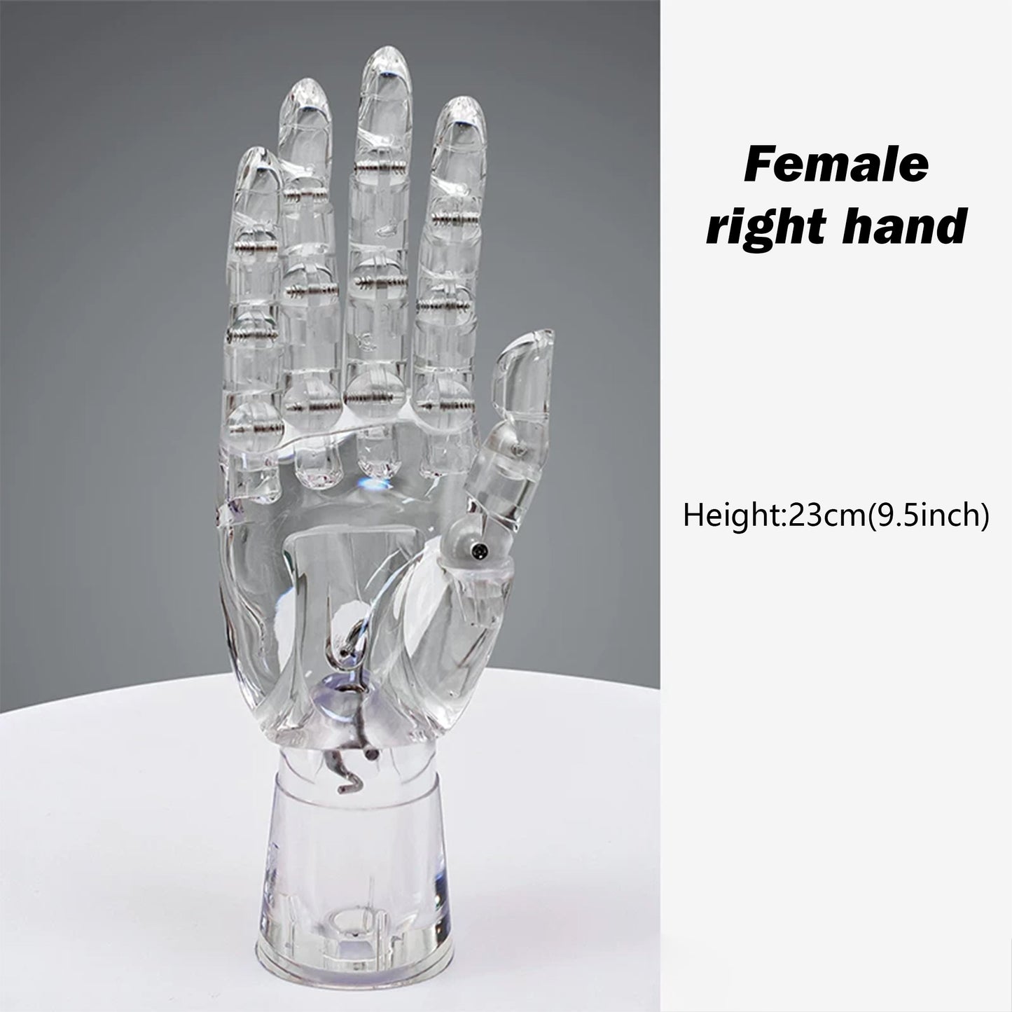 JELIMATE Clear Hand Mannequin Display Stand Articulated Joints Jewelry Ring Holder
