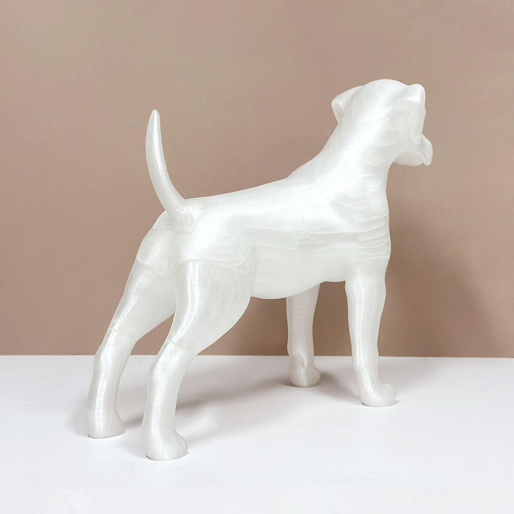 Premium Dog Mannequin Display - Magnetic Detachable Pet Clothing Model