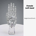 JELIMATE Clear Hand Mannequin Display Stand Articulated Joints Jewelry Ring Holder