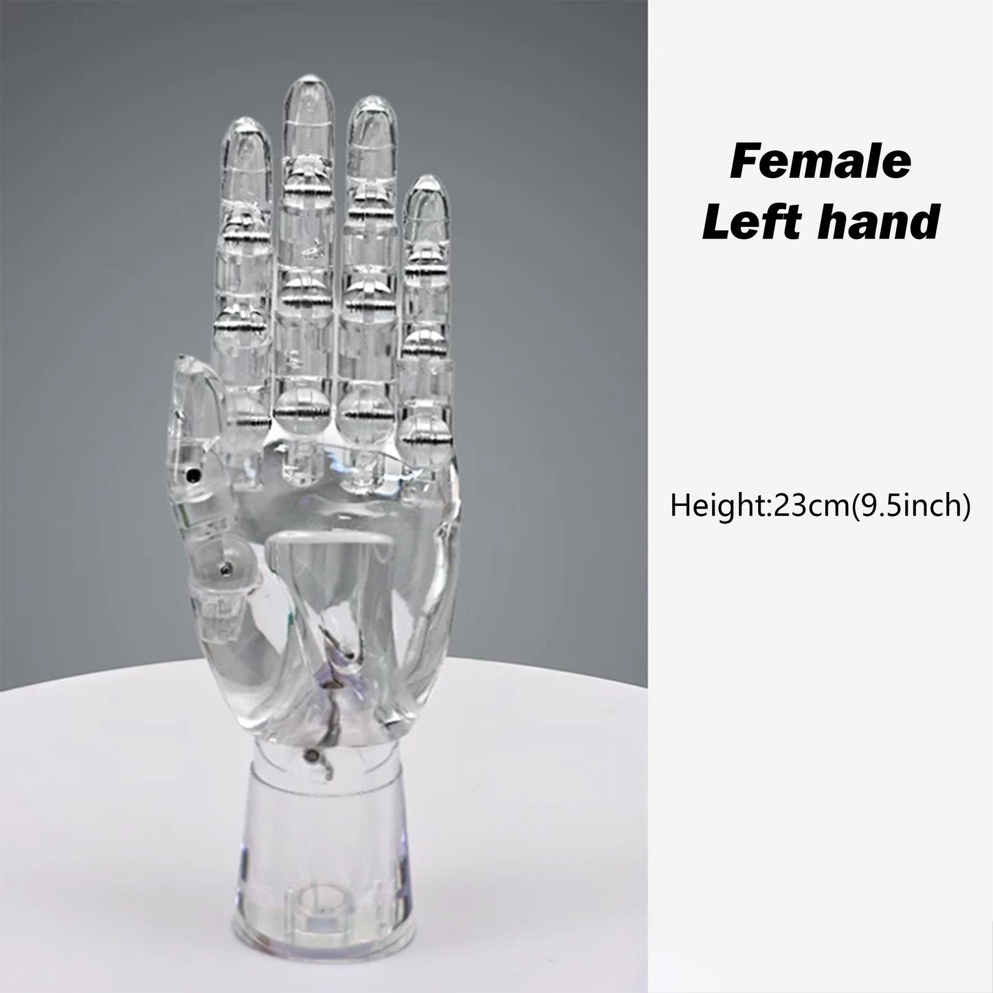 JELIMATE Clear Hand Mannequin Display Stand Articulated Joints Jewelry Ring Holder