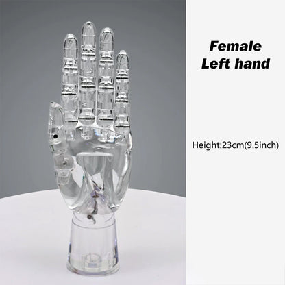 JELIMATE Clear Hand Mannequin Display Stand Articulated Joints Jewelry Ring Holder