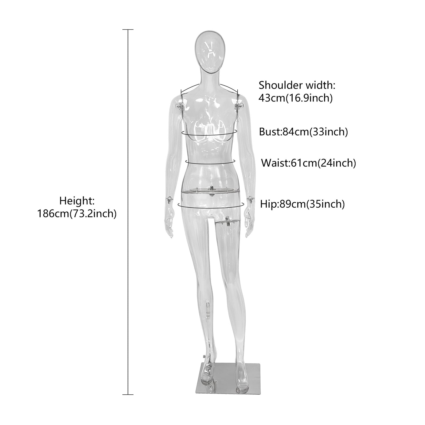 Transparent PE Female Mannequin Full Body Display Form - Clothing Retail Boutique