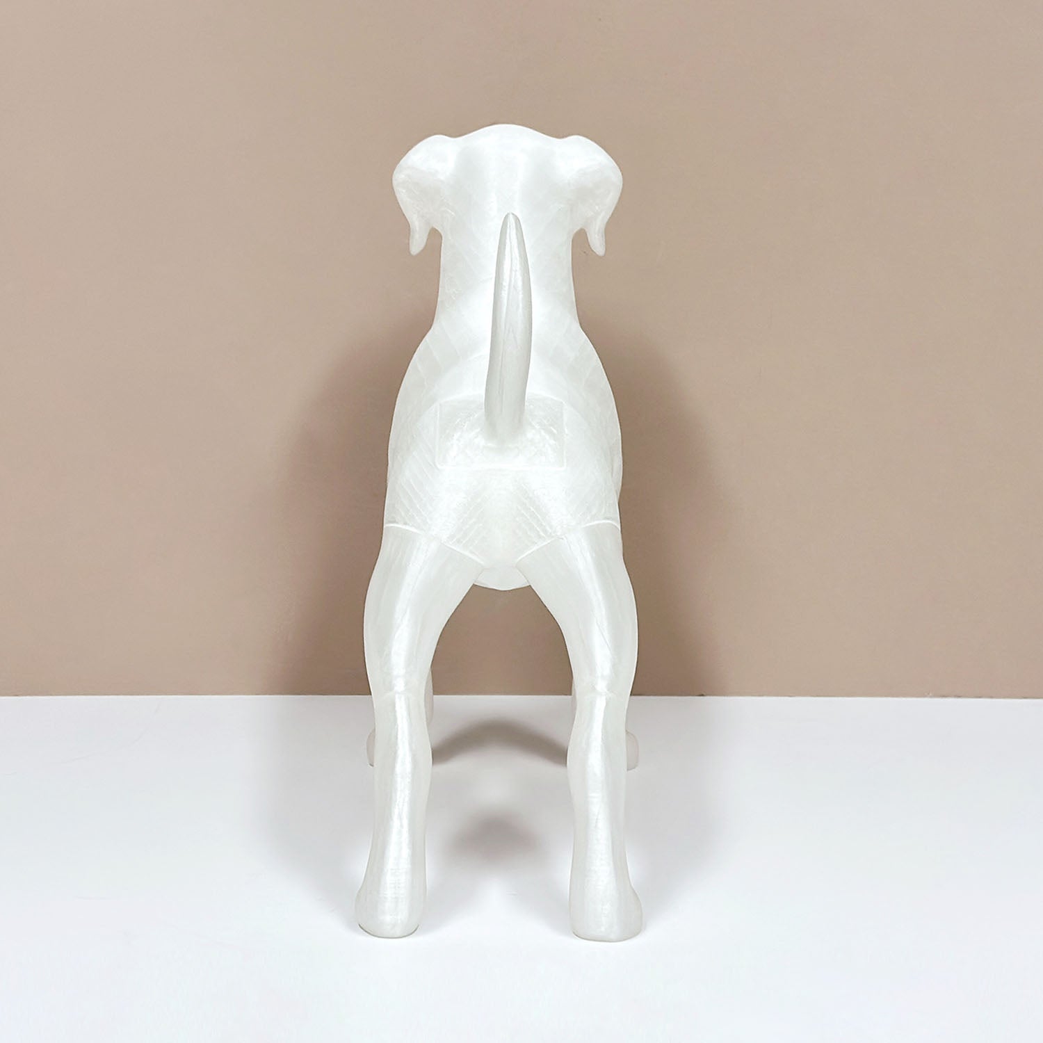 Premium Dog Mannequin Display - Magnetic Detachable Pet Clothing Model
