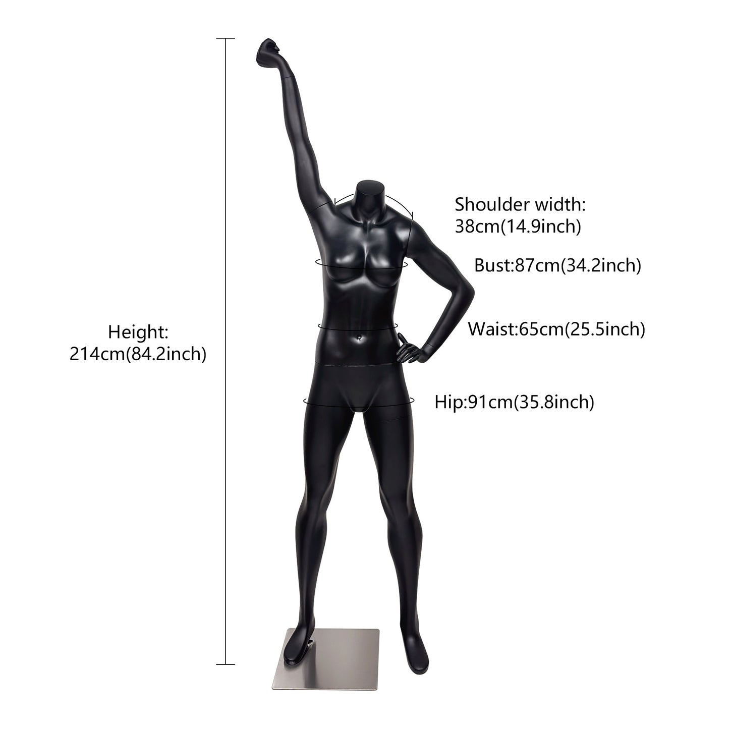 JELIMATE Female Athletic Dumbbell Mannequin - Headless Sports Display for Gym & Boutique