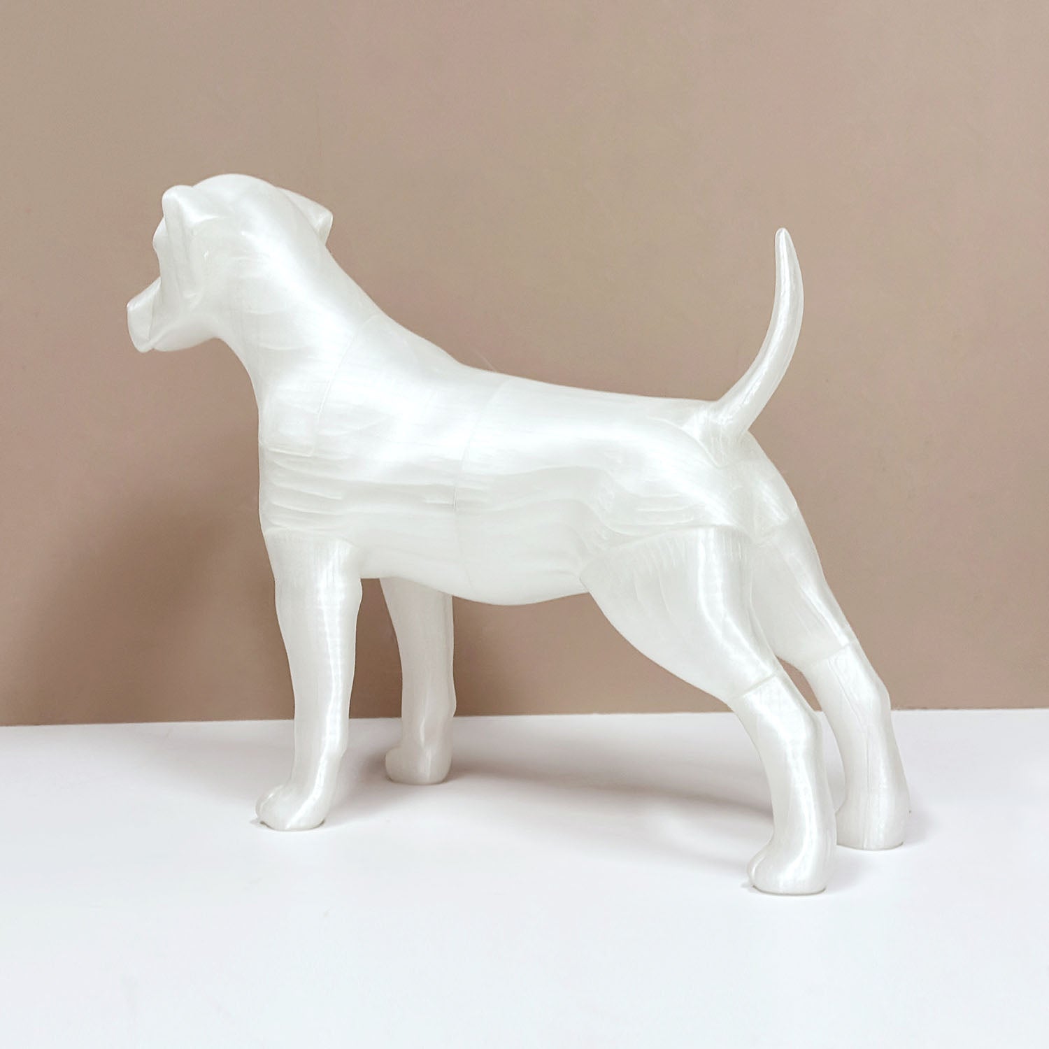 Premium Dog Mannequin Display - Magnetic Detachable Pet Clothing Model