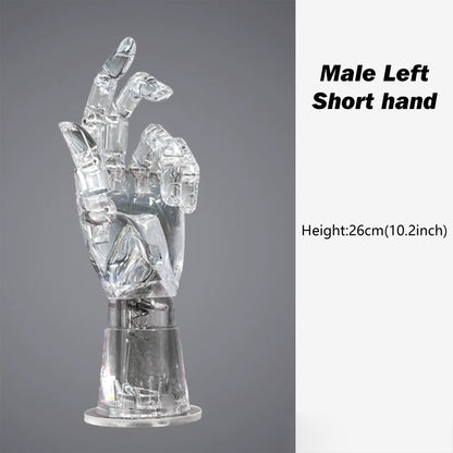 JELIMATE Clear Hand Mannequin Display Stand Articulated Joints Jewelry Ring Holder