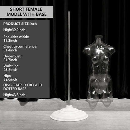 Transparent Female Half-Body Mannequin | 3D Photo Shoot Stand for Lingerie & Swimwear