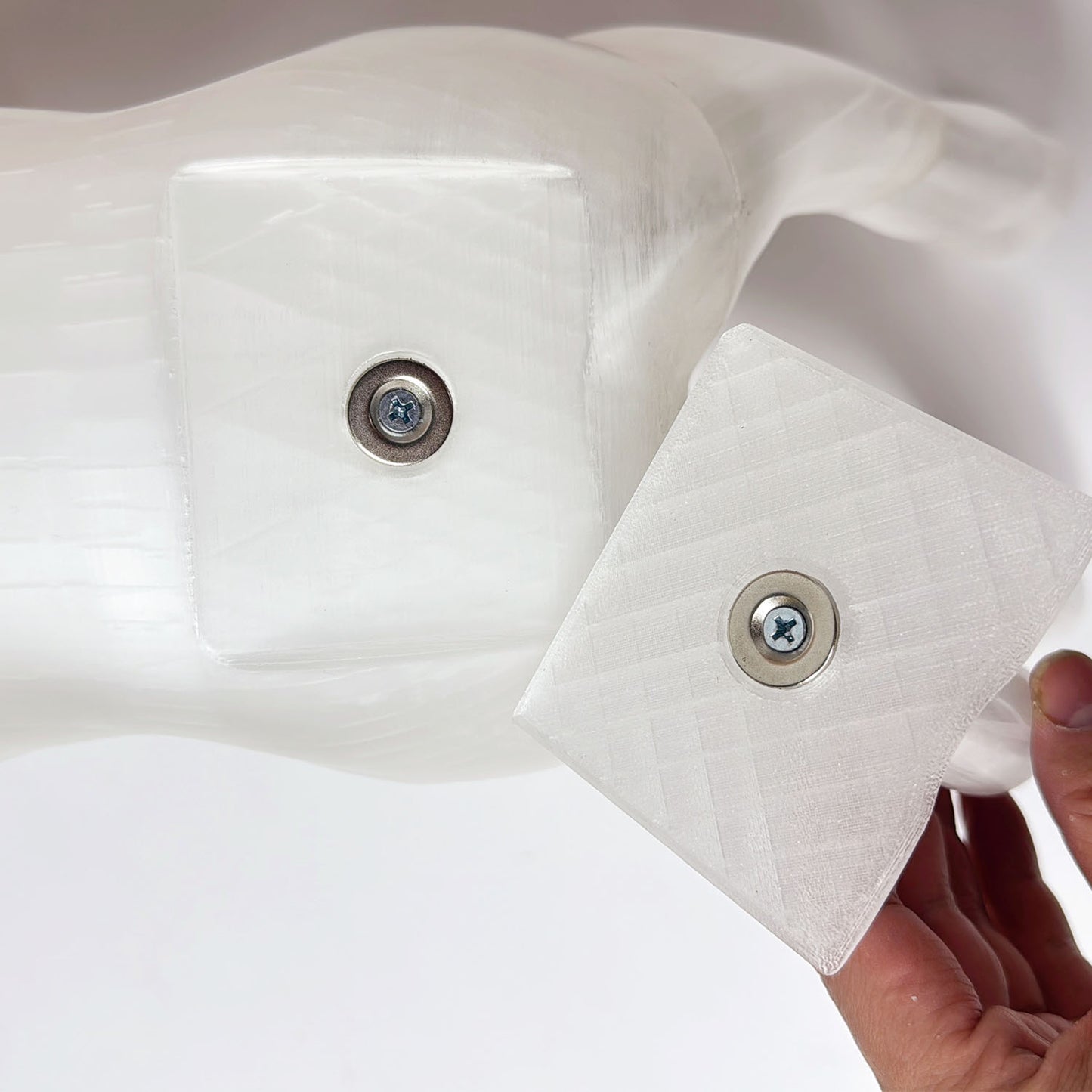 Premium Dog Mannequin Display - Magnetic Detachable Pet Clothing Model