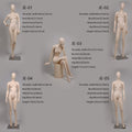 Jelimate Luxury Female Full Body Mannequin,Women Full Body Dress Form Mannequin,Female Full Body Display Mannequin,Bridal Store Wedding Dress Mannequin,Clothing Store Clothing Display Model JMFF07
