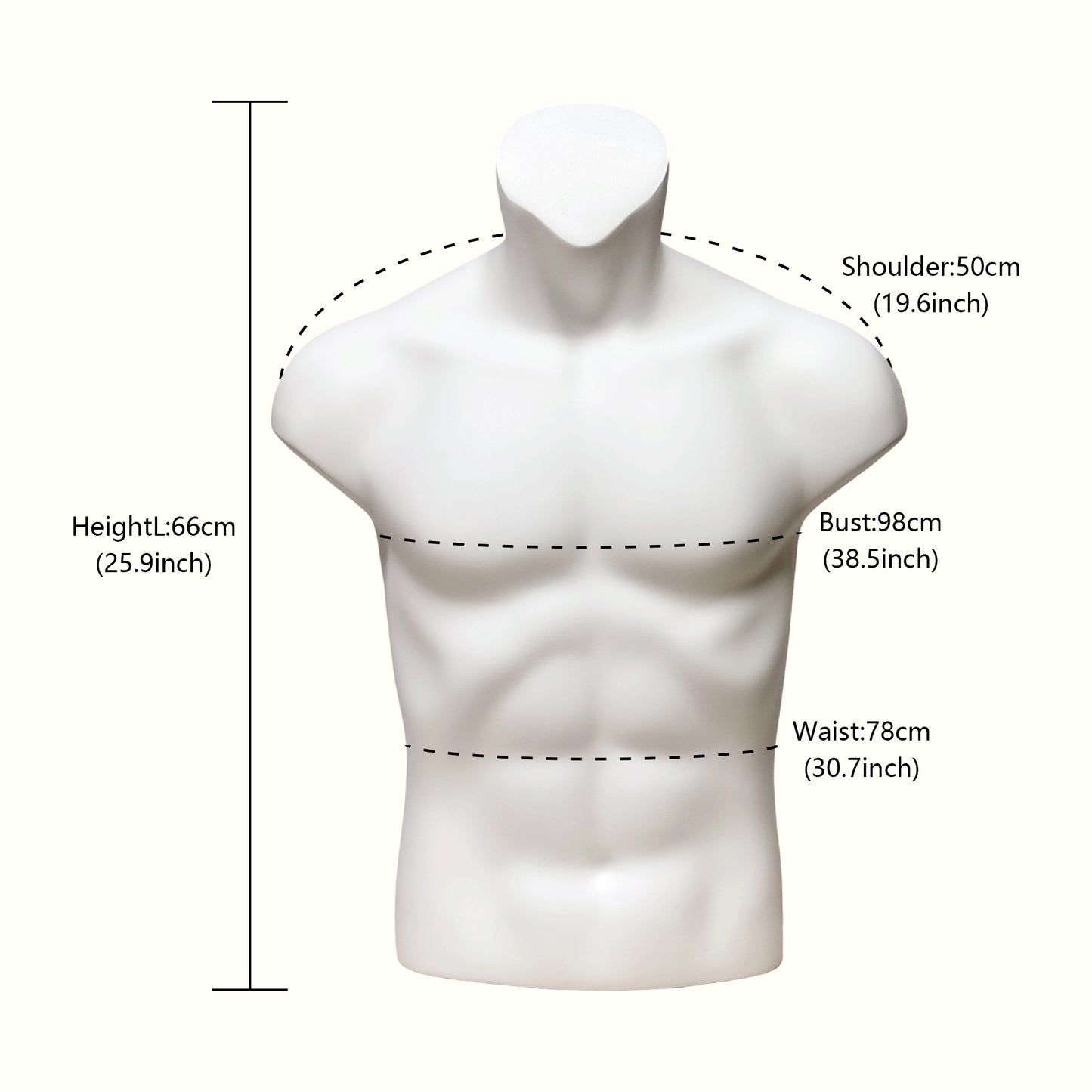 JELIMATE Fiberglass Male Mannequin Body Parts – 7 Styles for Sportswear & Brace Display