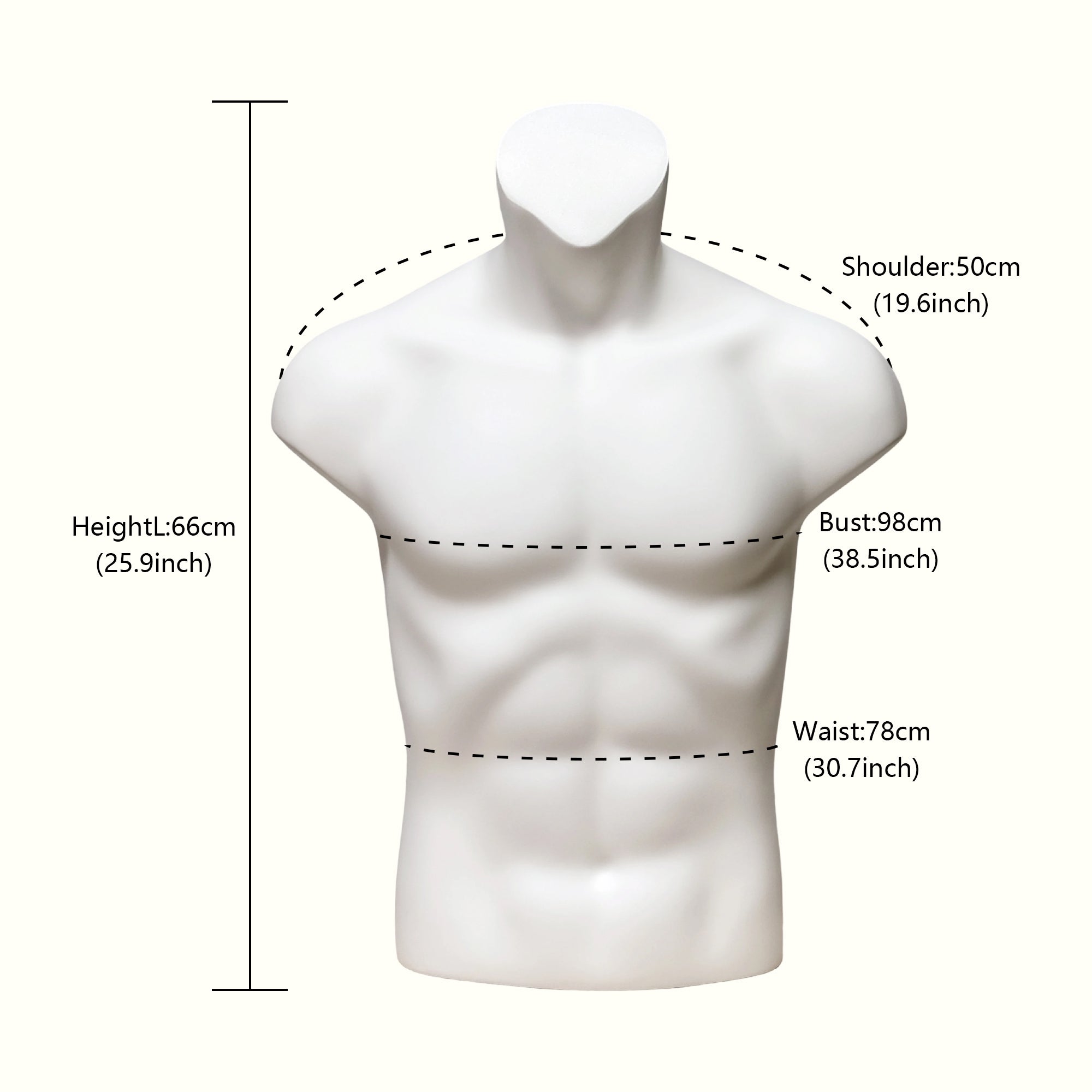 JELIMATE Fiberglass Male Mannequin Body Parts – 7 Styles for Sportswear & Brace Display
