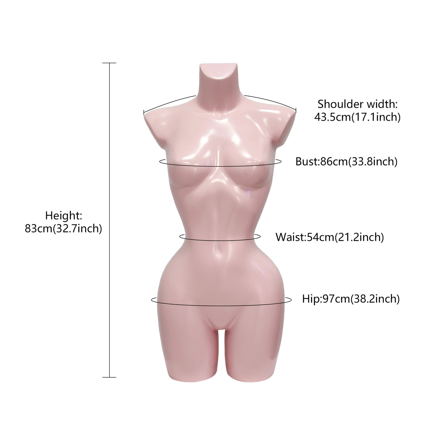 JELIMATE Female Torso Mannequin with Bust & Slim Waist – Lingerie & Swimwear Display Form