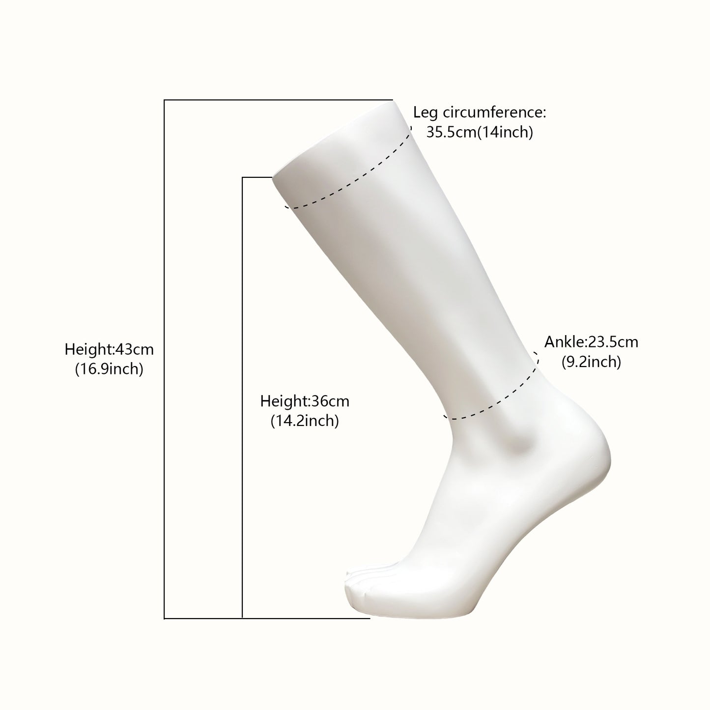 JELIMATE Fiberglass Male Mannequin Body Parts – 7 Styles for Sportswear & Brace Display