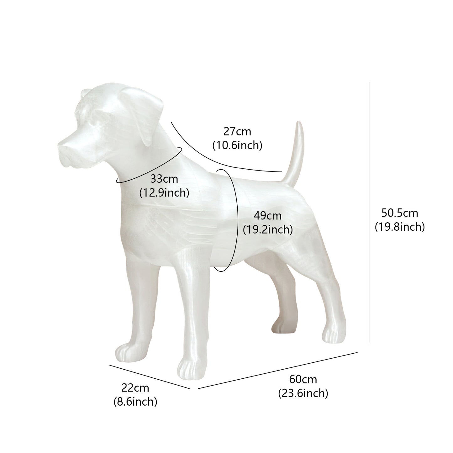 Premium Dog Mannequin Display - Magnetic Detachable Pet Clothing Model