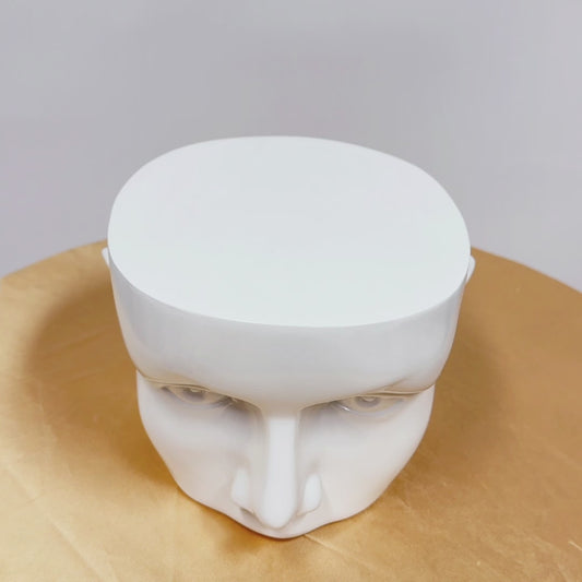 Jelimate Boutique Store Male Mannequin Head Stand,Shop Window Sunglasses Display Head Model,Colorful Men Eyeglass Mannequin Head Display Dress Form