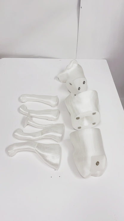 Premium Dog Mannequin Display - Magnetic Detachable Pet Clothing Model