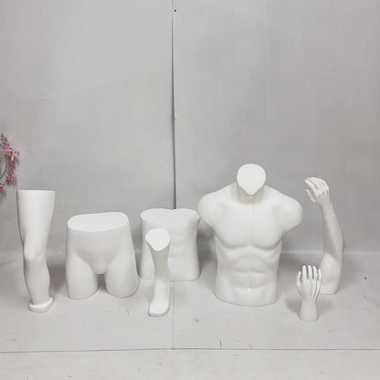 JELIMATE Plaster Display Props: Hands, Arms, Waist, Upper Body, Hips, Knees, and more.